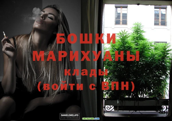 молекула духа Киреевск