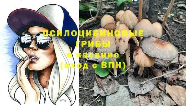 PSILOCYBIN Белокуриха