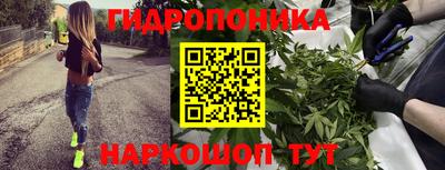 гашиш Заводоуковск