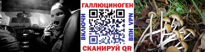 Псилоцибиновые грибы ЛСД  купить наркотики цена  hydra ТОР  Октябрьский 